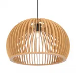 Подвесной светильник Roots MOD195PL-01W1 Подвесной светильник Roots MOD195PL-01W1