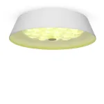Потолочный светильник Freya Cells FR10013CL-L24W