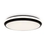 Потолочный светильник Freya Пирог / Pie FR6086CL-L117B