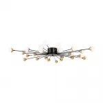 Потолочный светильник Celebrity FR5242CL-24B