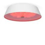 Потолочный светильник Freya Cells FR10013CL-L24W