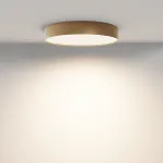 Потолочный светильник Maytoni Ceiling C032CL-45W3K-RD-MG