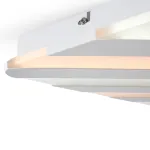 Потолочный светильник Freya Амелия / Amelia FR6037CL-L84W