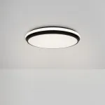 Потолочный светильник Freya Пирог / Pie FR6086CL-L117B