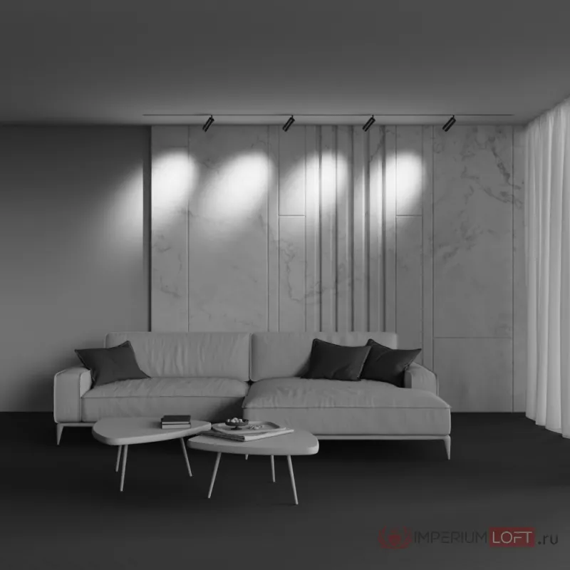 Трековый светильник Maytoni EXILITY TR211-1-12W4K-Z-B от ImperiumLoft