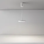 Подвесной светильник Maytoni Pendant P076PL-L12W4K-W