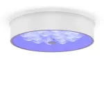 Потолочный светильник Freya Cells FR10011CL-L24W