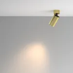 Потолочный светильник Maytoni Ceiling C108CL-01-GU10-BS от ImperiumLoft