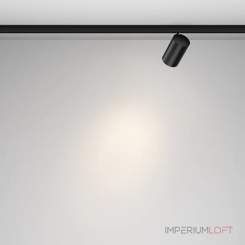 Трековый светильник Maytoni LEVITY TR187-1-9W4K-M-B