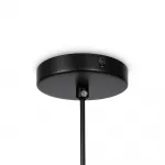 Подвесной светильник Eleon FR5218PL-01B1 от ImperiumLoft