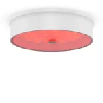 Потолочный светильник Freya Cells FR10011CL-L24W