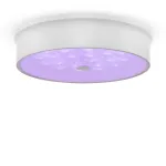 Потолочный светильник Freya Cells FR10011CL-L24W