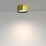 Потолочный светильник Maytoni Ceiling C091CL-12W4K-BS