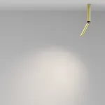Потолочный светильник Maytoni Ceiling C142CL-6W4K-BS