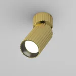 Потолочный светильник Maytoni Ceiling C108CL-01-GU10-BS от ImperiumLoft