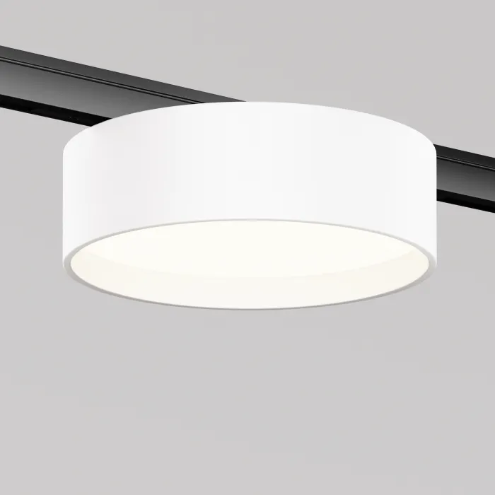 Трековый светильник Maytoni LEVITY TR189-1-12W4K-BW от ImperiumLoft