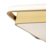 Потолочный светильник Freya Яку / Yaku FR10026CL-L93G
