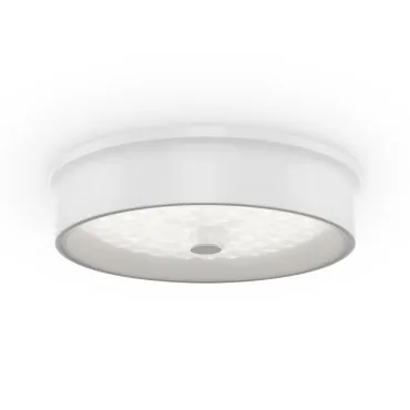 Потолочный светильник Freya Cells FR10011CL-L24W Потолочный светильник Freya Cells FR10011CL-L24W