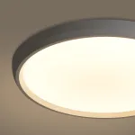 Потолочный светильник Freya Обель / Obelle FR6211CL-L24W