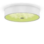 Потолочный светильник Freya Cells FR10011CL-L24W