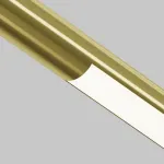 Светильник Maytoni Basis C100CL-L500-12W3-6K-BS от ImperiumLoft