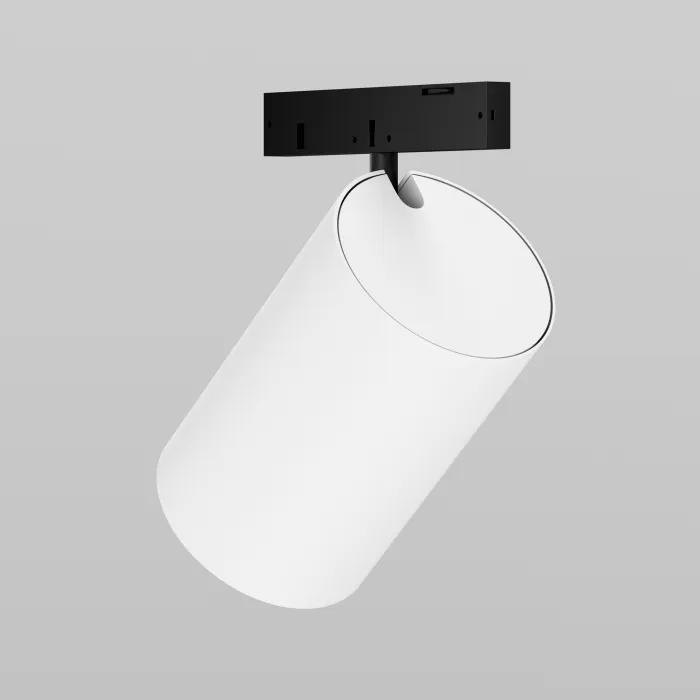 Трековый светильник Maytoni LEVITY TR187-1-5W3K-M-BW от ImperiumLoft