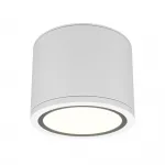 Потолочный светильник Maytoni Ceiling C095CL-GX53-W