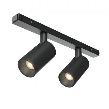 Трековый светильник Maytoni BASITY TR176-1-2X5WTW-M-B