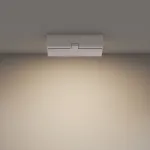Потолочный светильник Basis Rot C133CL-12W3K-W