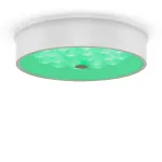 Потолочный светильник Freya Cells FR10011CL-L24W