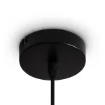 Подвесной светильник Freya Топи / Topi FR5503PL-01B