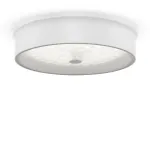Потолочный светильник Freya Cells FR10011CL-L24W