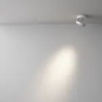 Потолочный светильник Maytoni Ceiling C022CL-7W4K-W-1