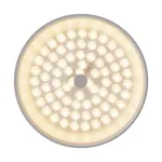 Потолочный светильник Freya Cells FR10011CL-L24W