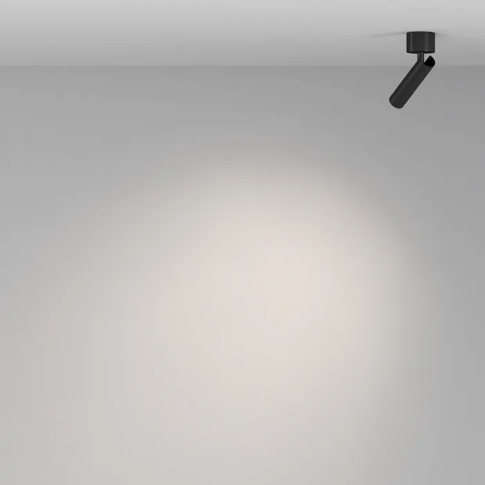 Потолочный светильник Maytoni Ceiling C141CL-L125-6W4K-B от ImperiumLoft