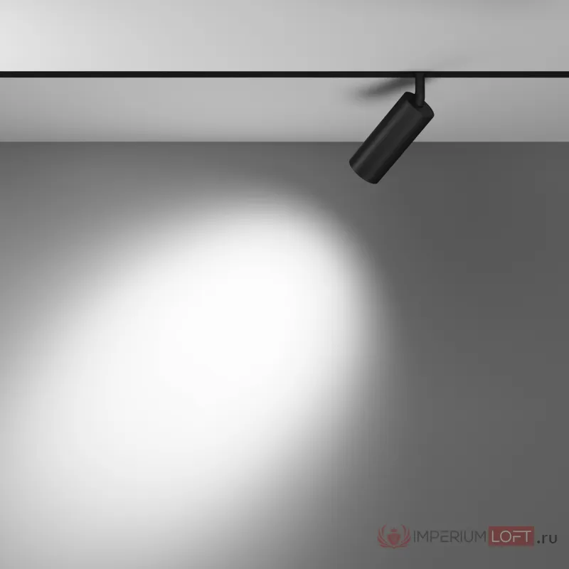 Трековый светильник Maytoni Focus LED TR032-4-12WTW-M-DD2-B от ImperiumLoft