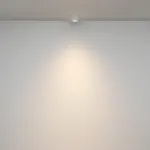 Потолочный светильник Maytoni Ceiling C095CL-GX53-W
