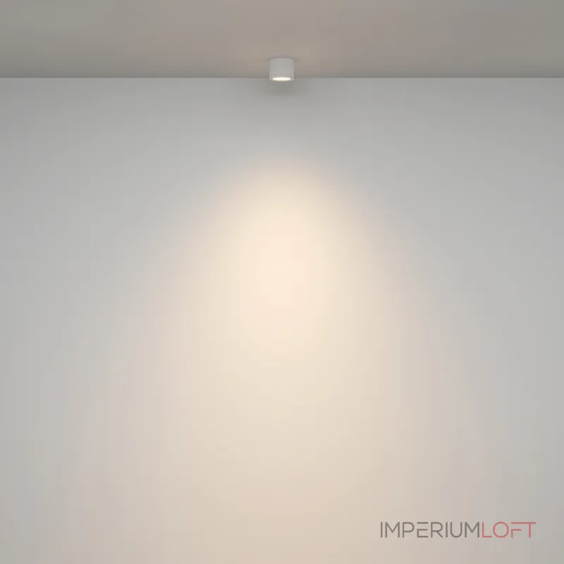 Потолочный светильник Maytoni Ceiling C095CL-GX53-W