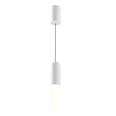 Подвесной светильник Maytoni Pendant P101PL-L300-12W3K-W