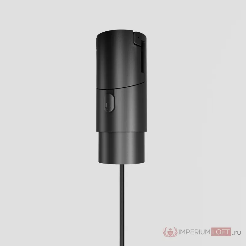 Трековый подвесной светильник Maytoni FLEXITY TR210-1-5W3K-M-B от ImperiumLoft