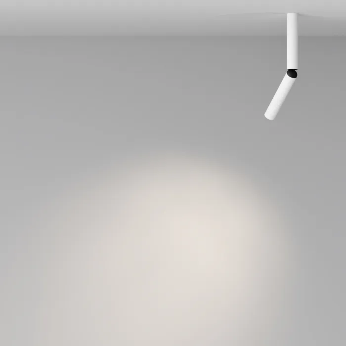Потолочный светильник Maytoni Ceiling C142CL-6W4K-W от ImperiumLoft