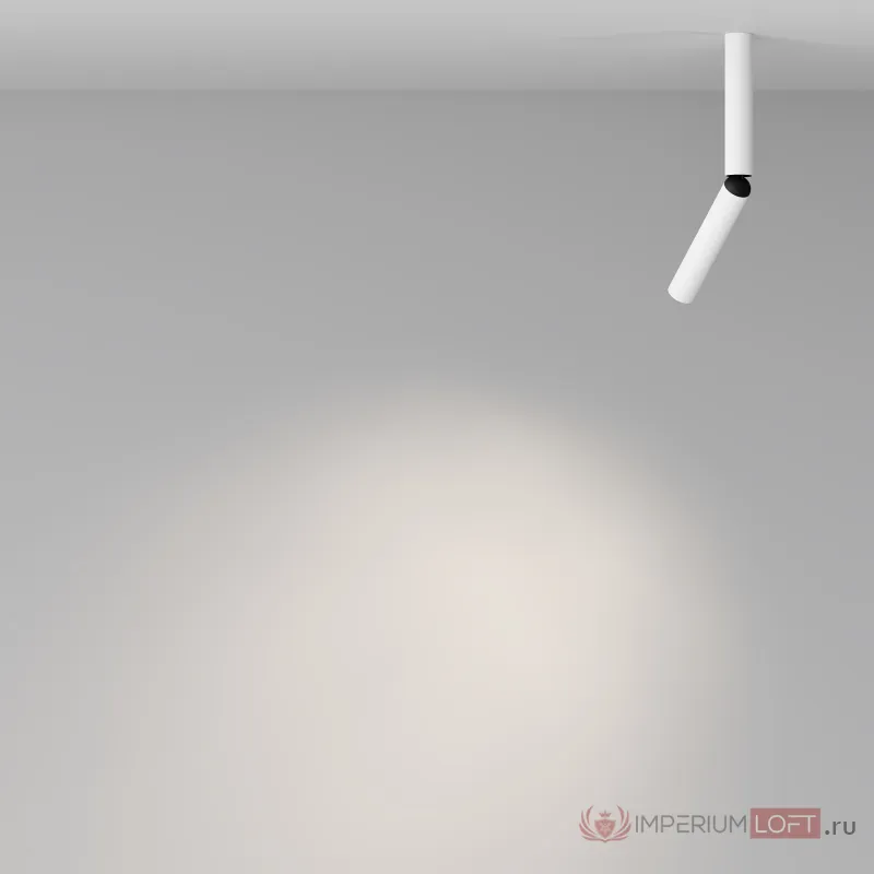 Потолочный светильник Maytoni Ceiling C142CL-6W4K-W от ImperiumLoft