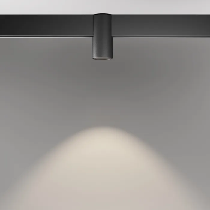 Трековый светильник Maytoni EXILITY TR122-2-7W4K-B от ImperiumLoft
