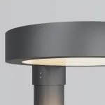 Парковый светильник Maytoni Dion O472H-L50GF3K от ImperiumLoft
