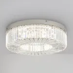 Потолочная люстра Freya Диадема / Diadema FR6225CL-L36CH