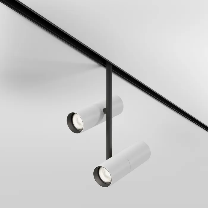 Трековый светильник Maytoni EXILITY TR005-4-2X12W-DS-BW от ImperiumLoft