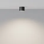 Потолочный светильник Maytoni Ceiling C096CL-GX53-B от ImperiumLoft