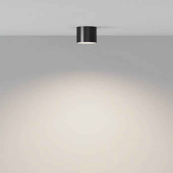 Потолочный светильник Maytoni Ceiling C096CL-GX53-B от ImperiumLoft
