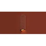 Настенный светильник (бра) Freya Terra FR5582WL-01R1
