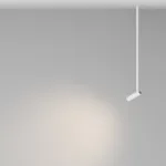 Подвесной светильник Maytoni Pendant P141RS-L125-6W3K-W
